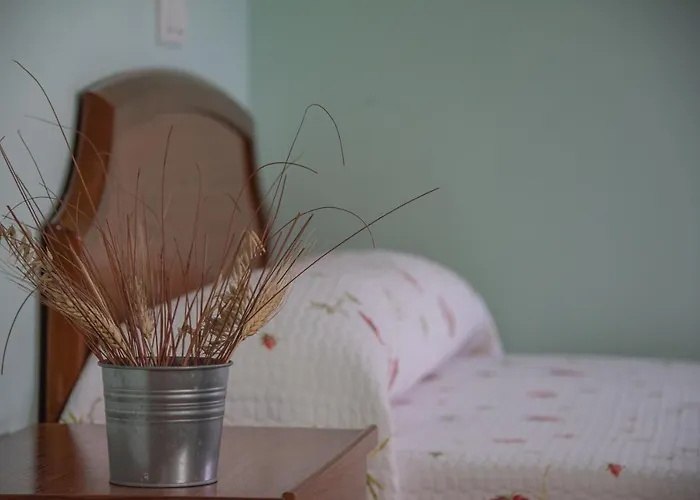 Pensión El Castañu, *