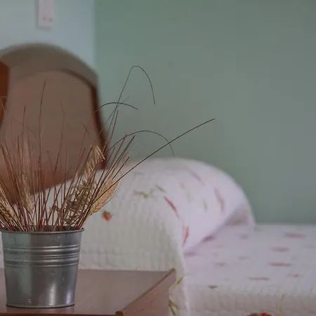 Gæstehus El Castanu *